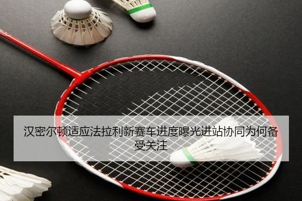 汉密尔顿适应法拉利新赛车进度曝光进站协同为何备受关注